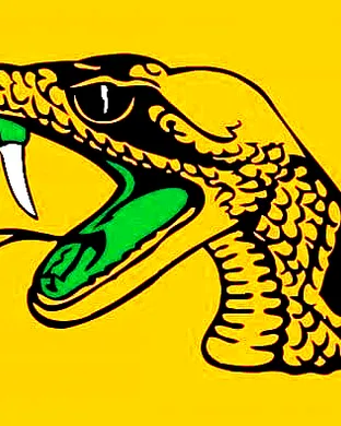 Florida A&m Rattlers Football Jackson