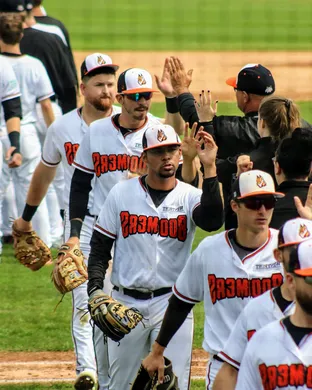 Schaumburg Boomers Pearl